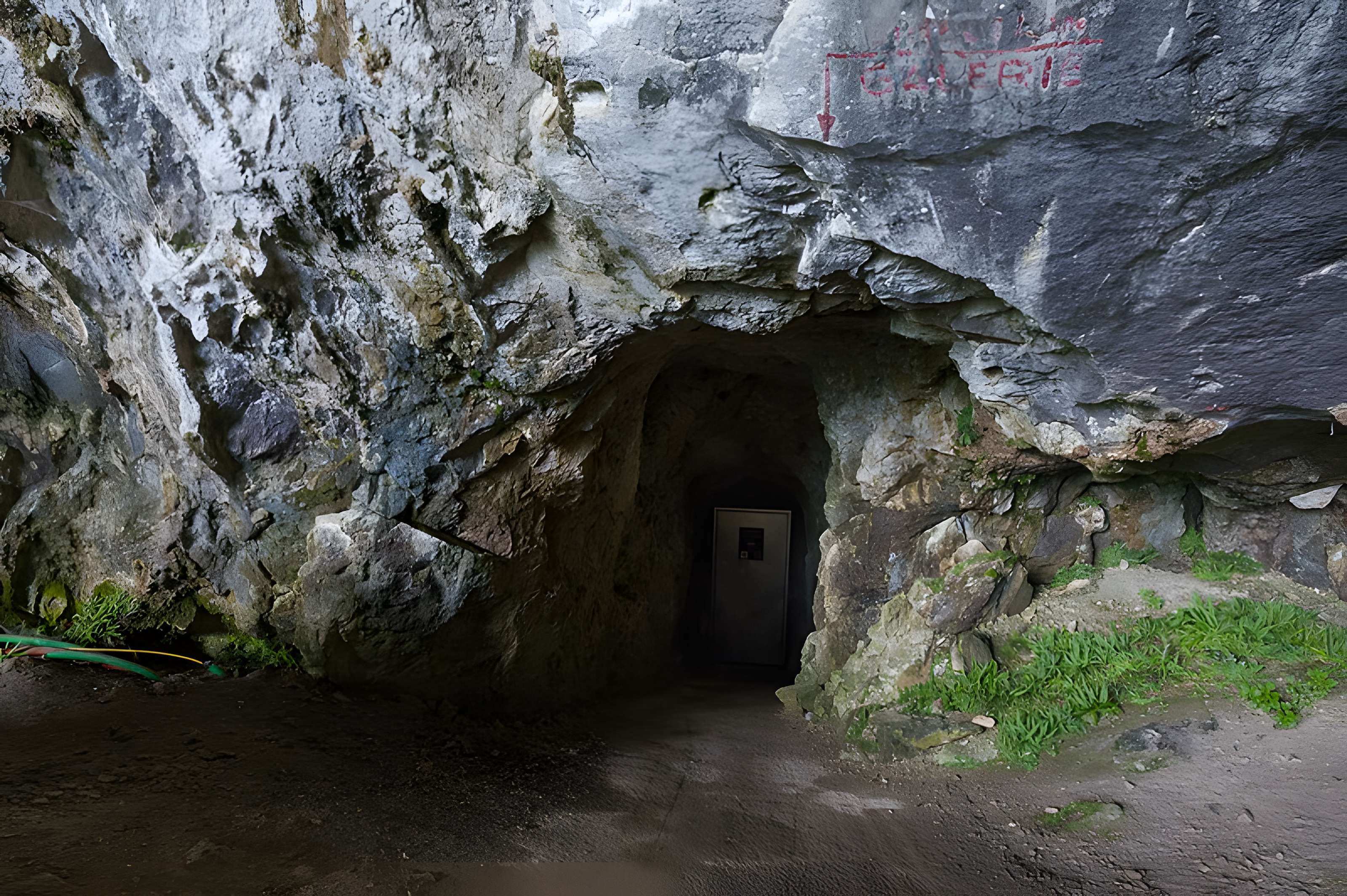 Visite de la Grotte de Niaux
