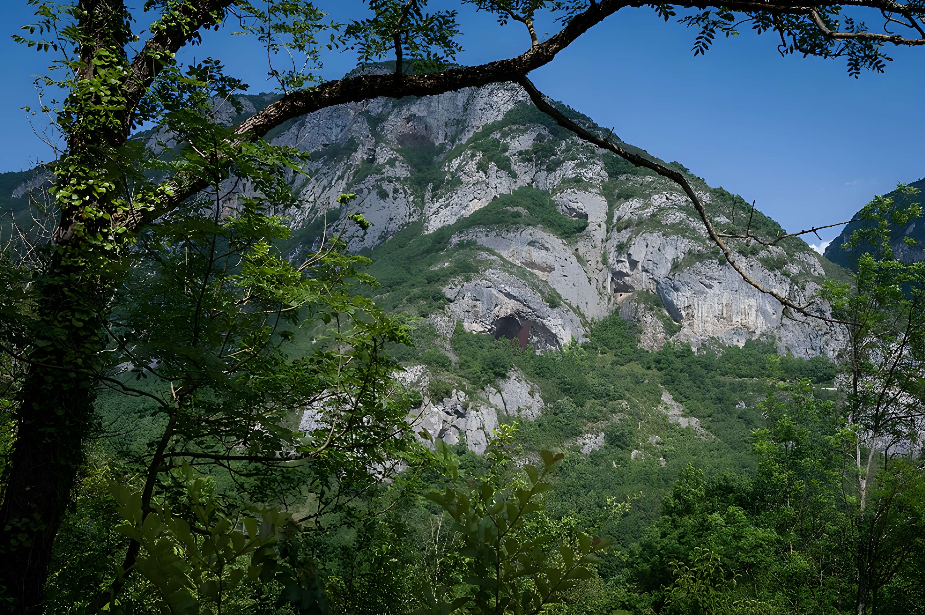 Visite de la Grotte de Niaux