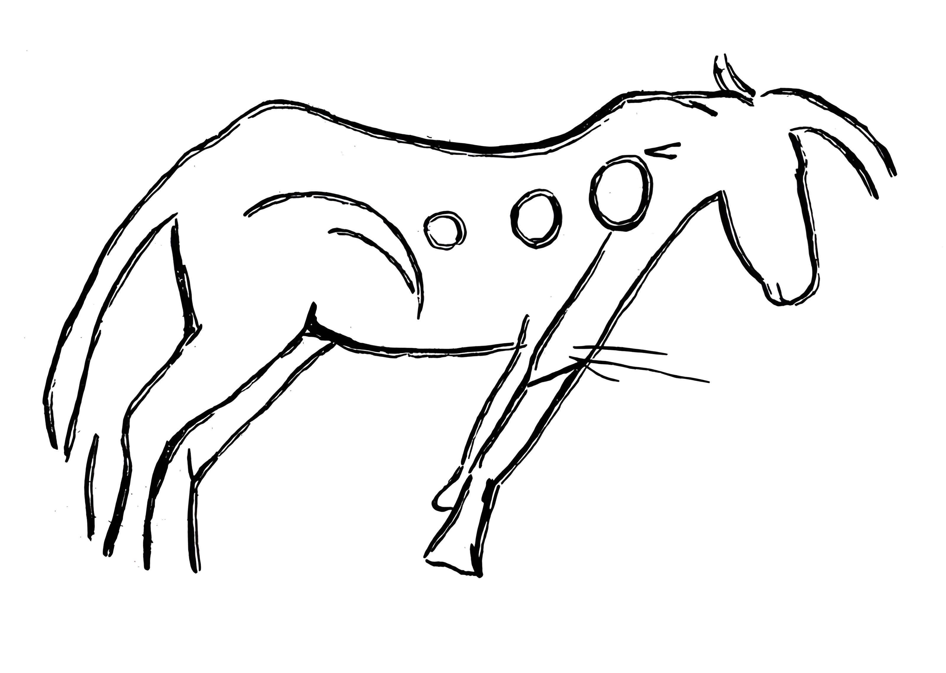 Visite de la Grotte de Niaux