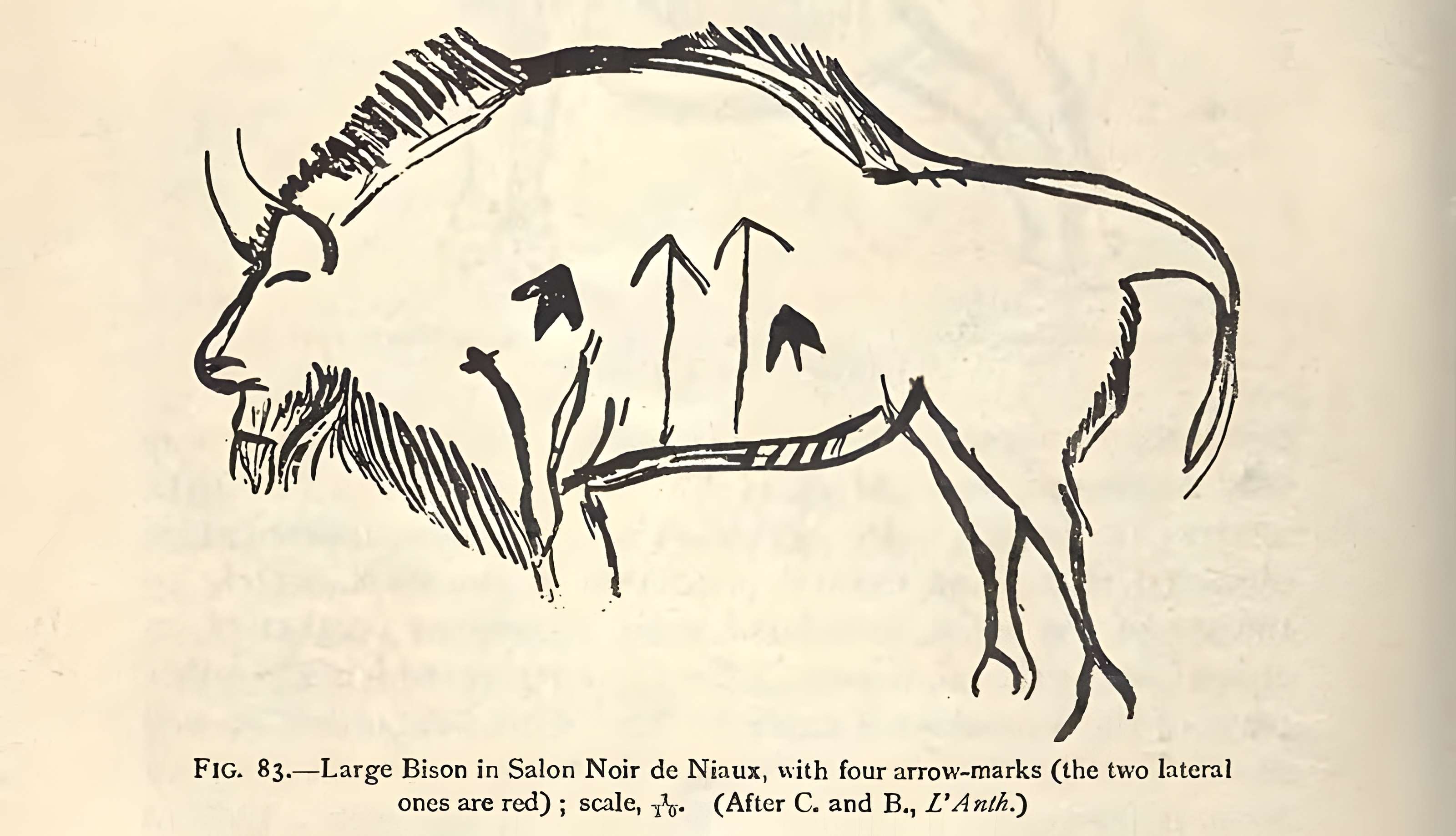 Visite de la Grotte de Niaux