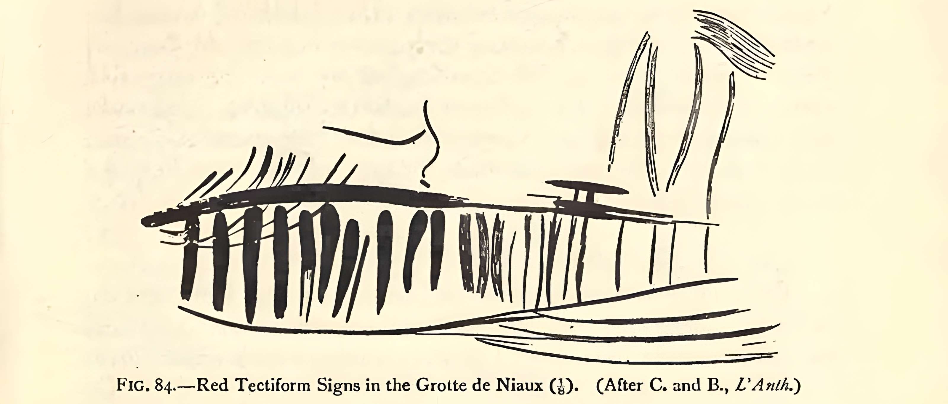 Visite de la Grotte de Niaux