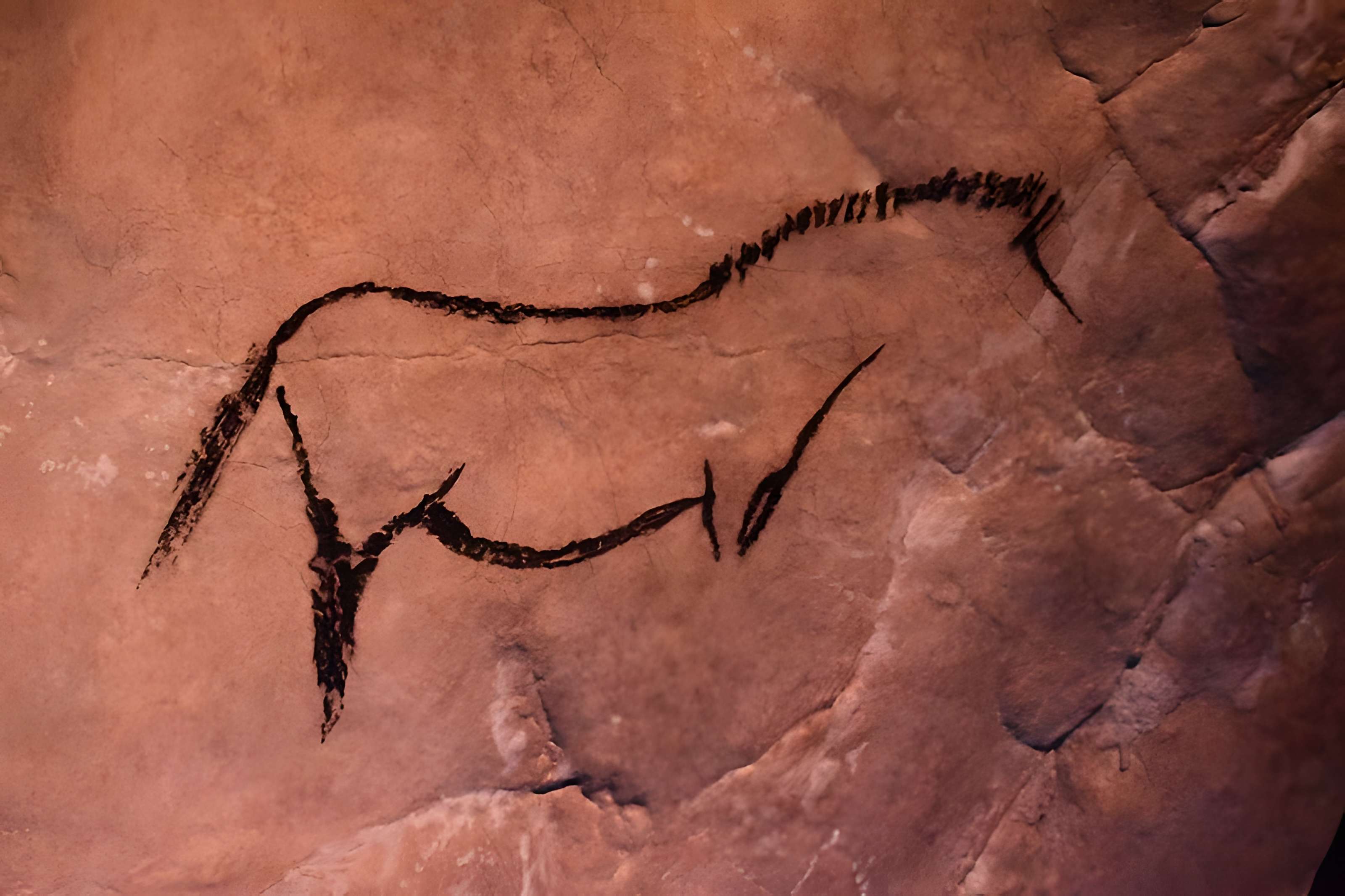 Visite de la Grotte de Niaux