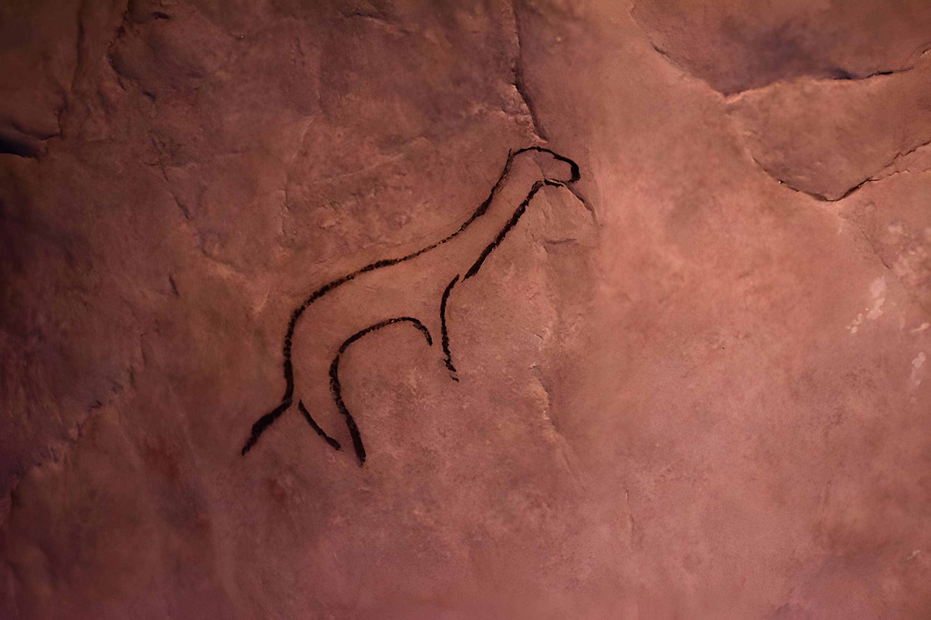 Visite de la Grotte de Niaux