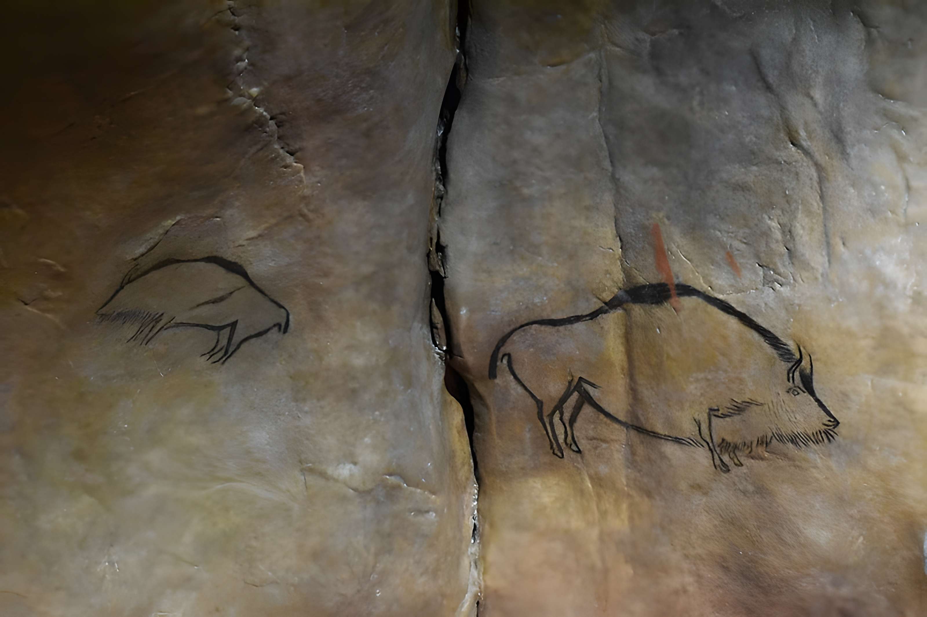 Visite de la Grotte de Niaux