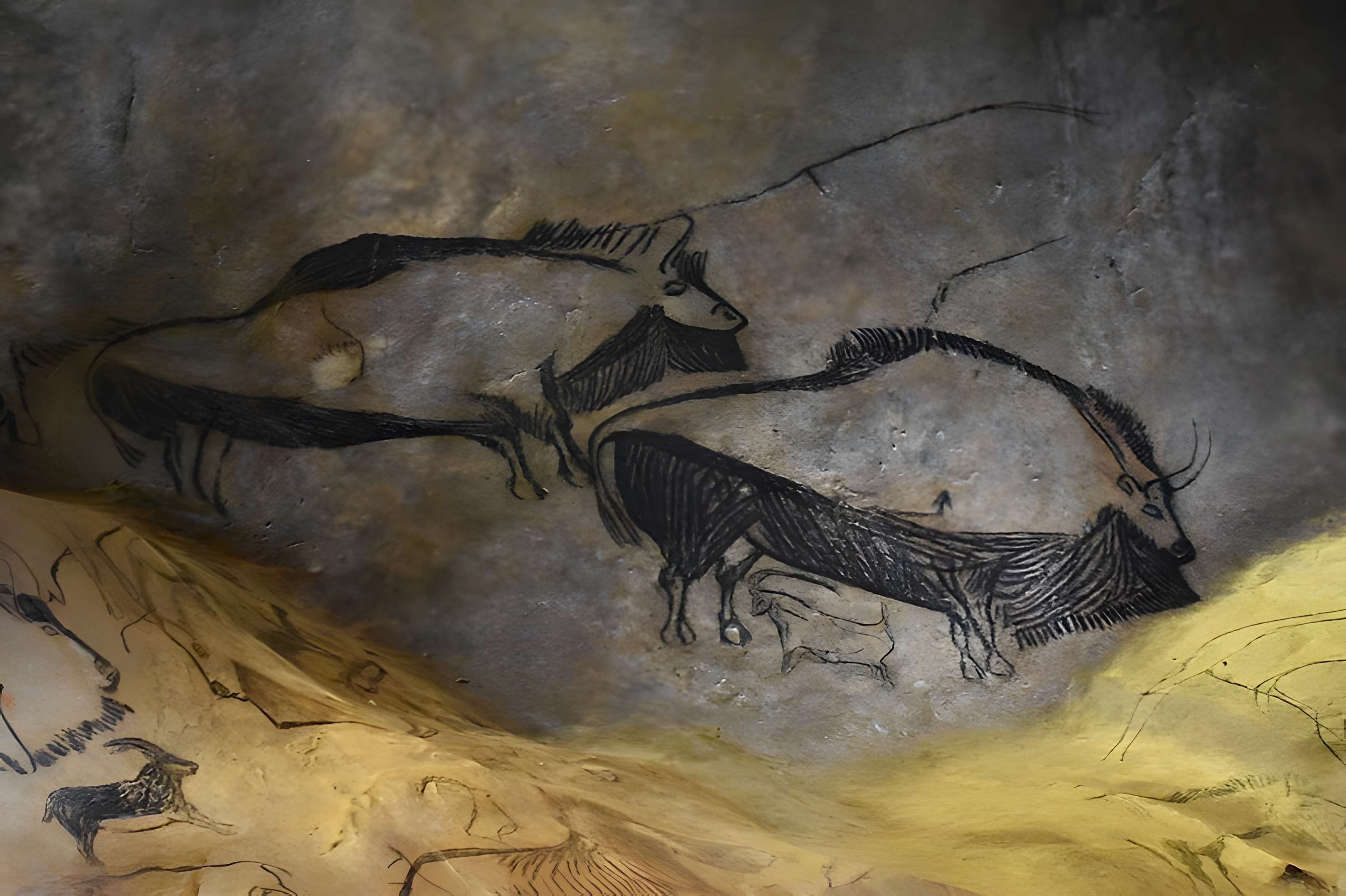 Visite de la Grotte de Niaux