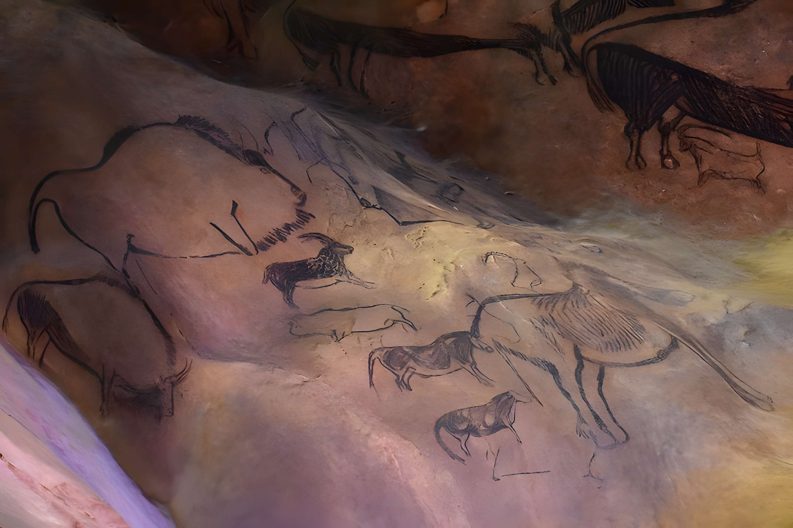 Visite de la Grotte de Niaux