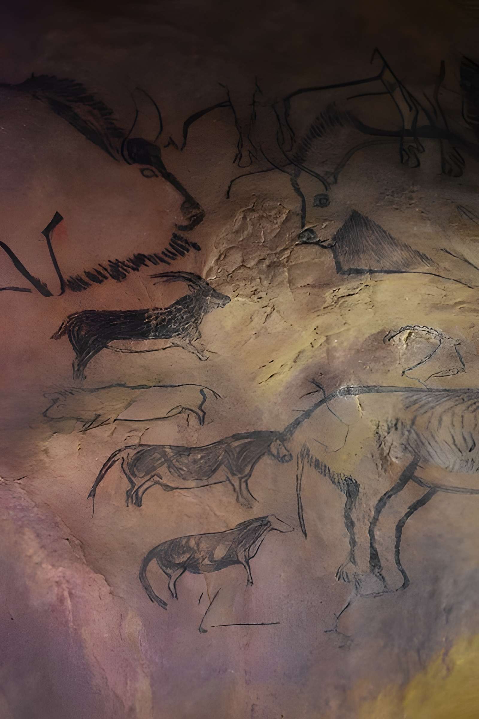 Visite de la Grotte de Niaux