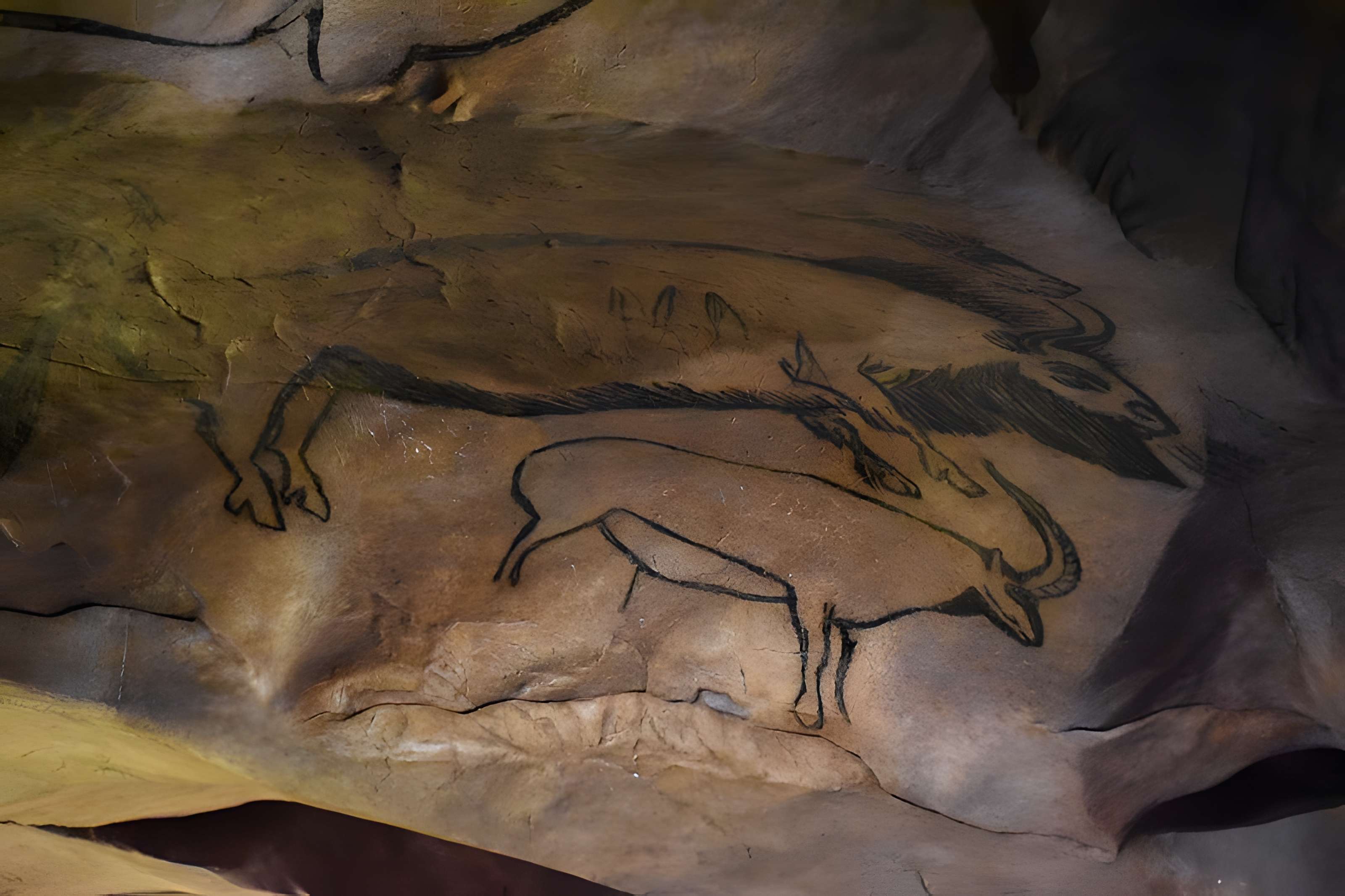 Visite de la Grotte de Niaux