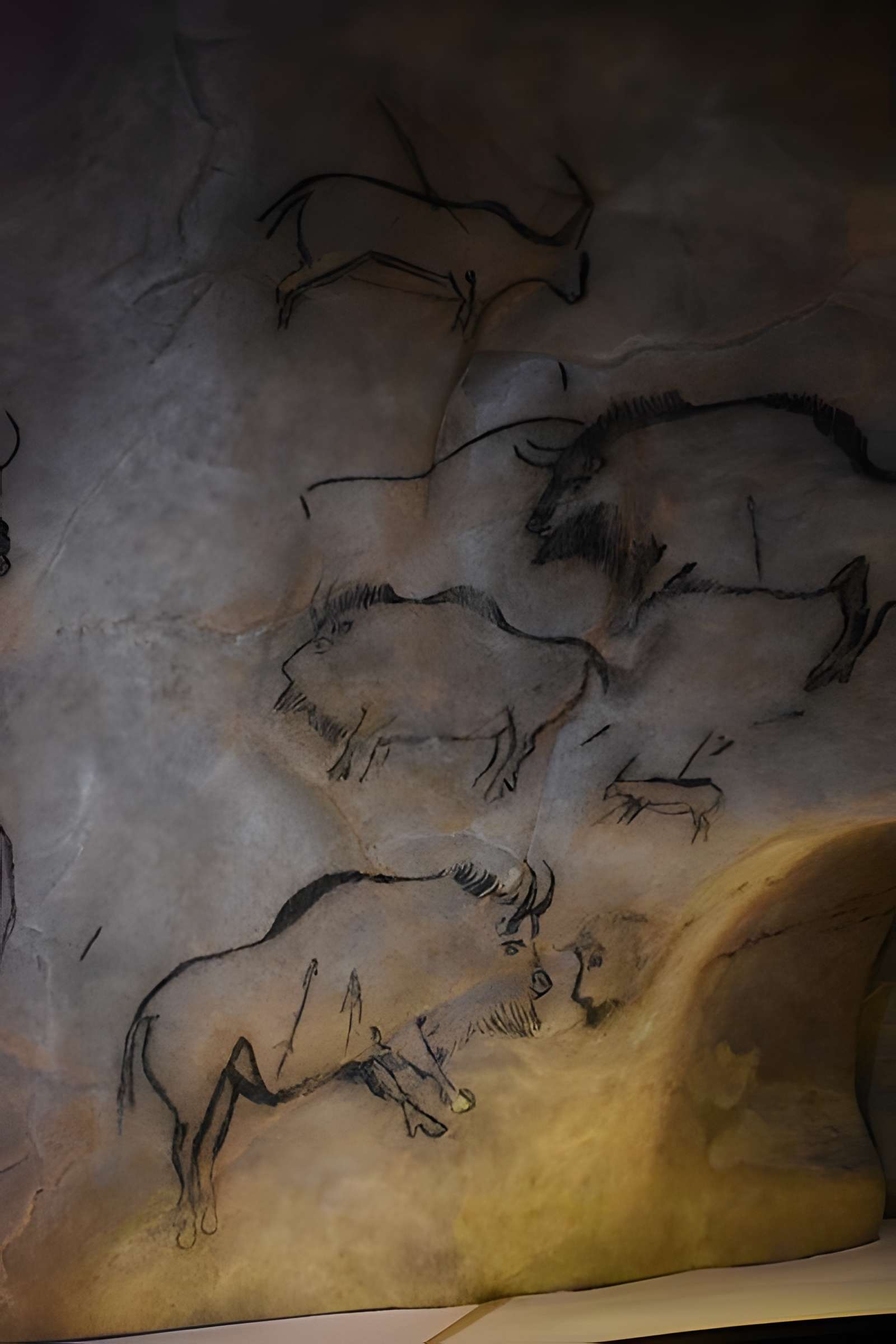 Visite de la Grotte de Niaux