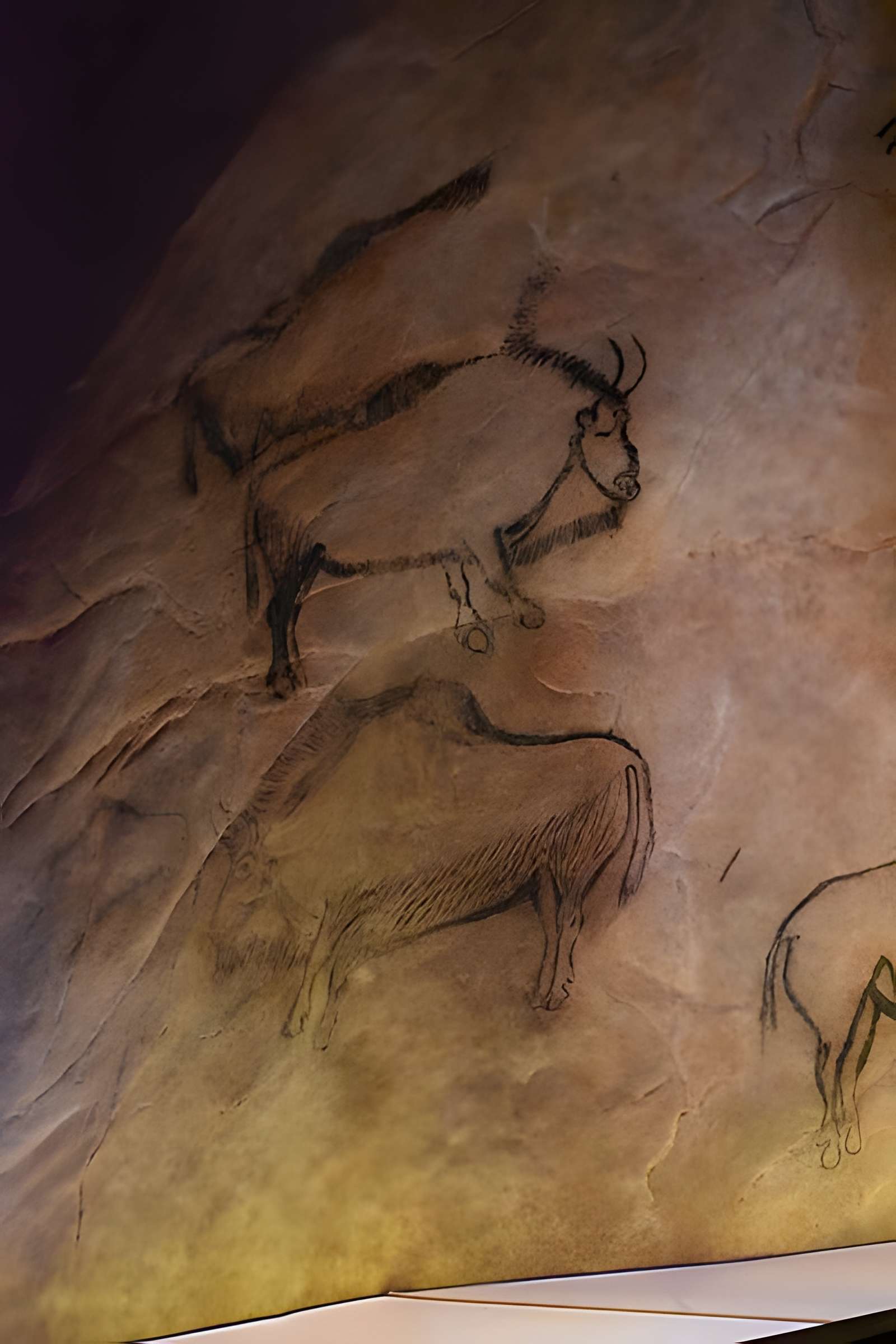 Visite de la Grotte de Niaux