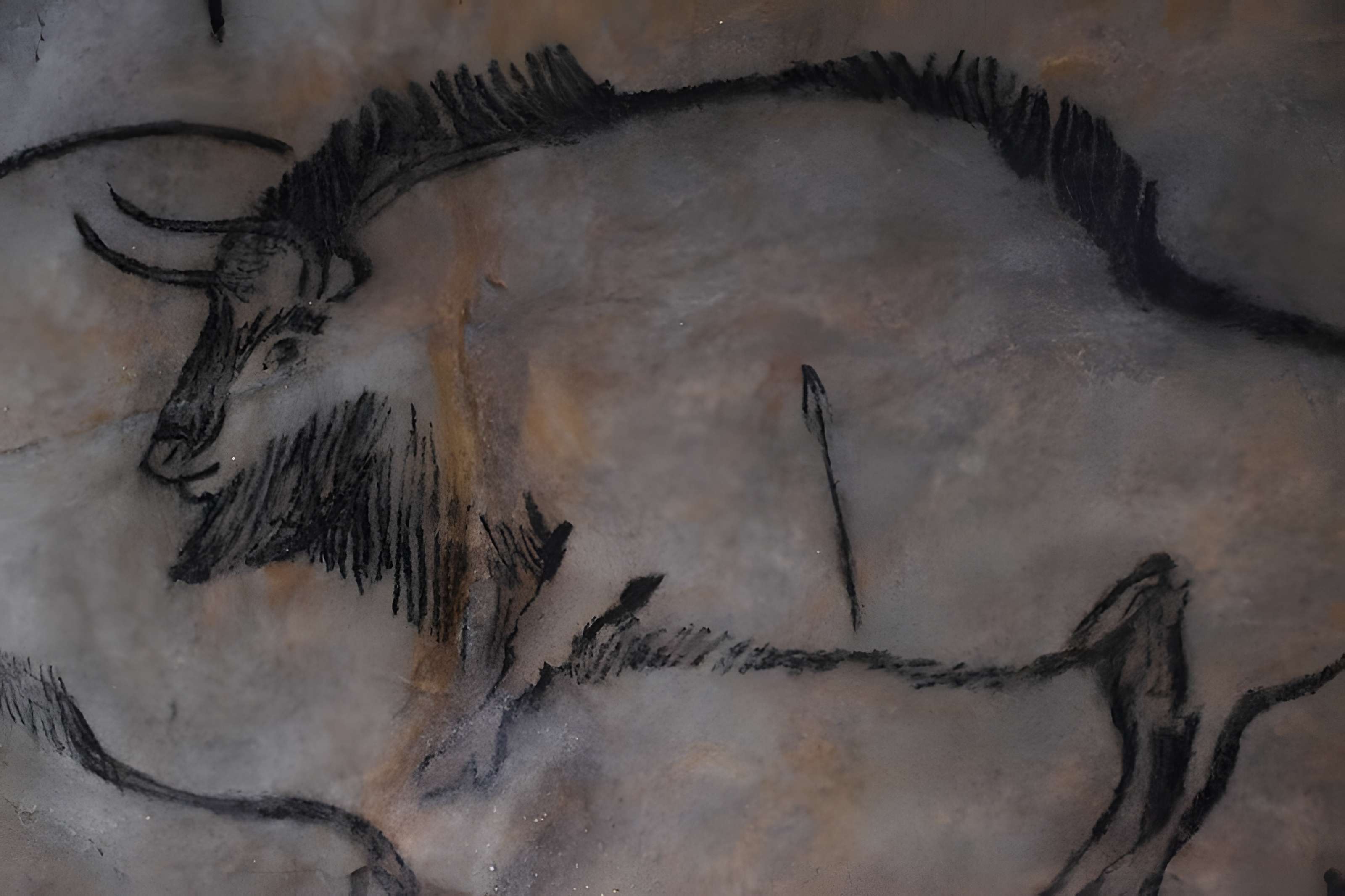 Visite de la Grotte de Niaux