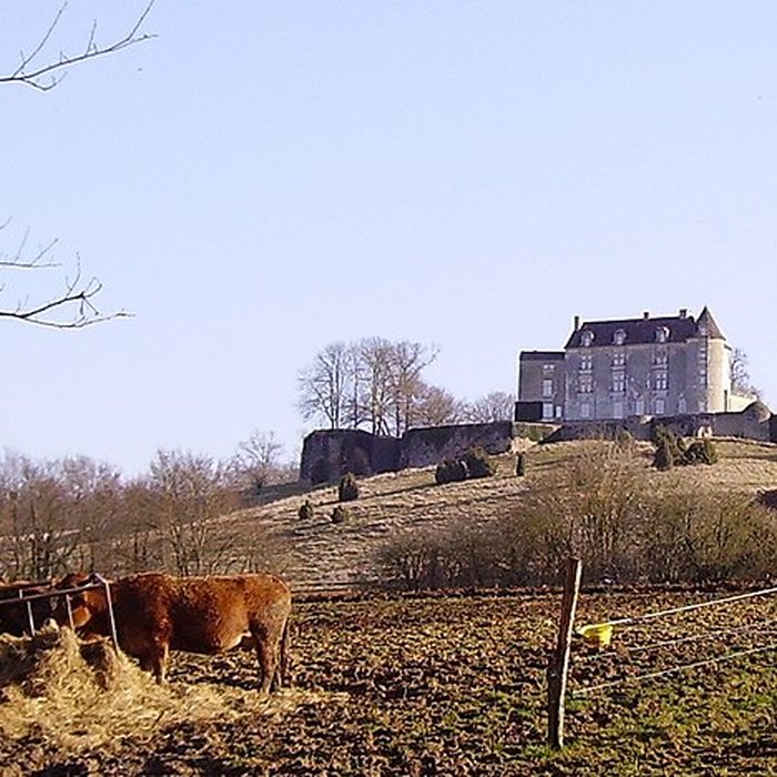 Photo de Château de Montréal à Issac