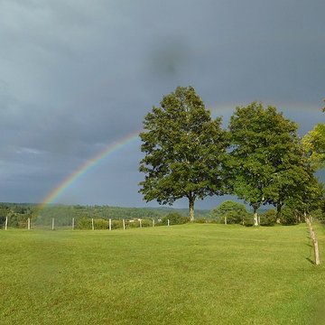 Château de Montréal à Issac