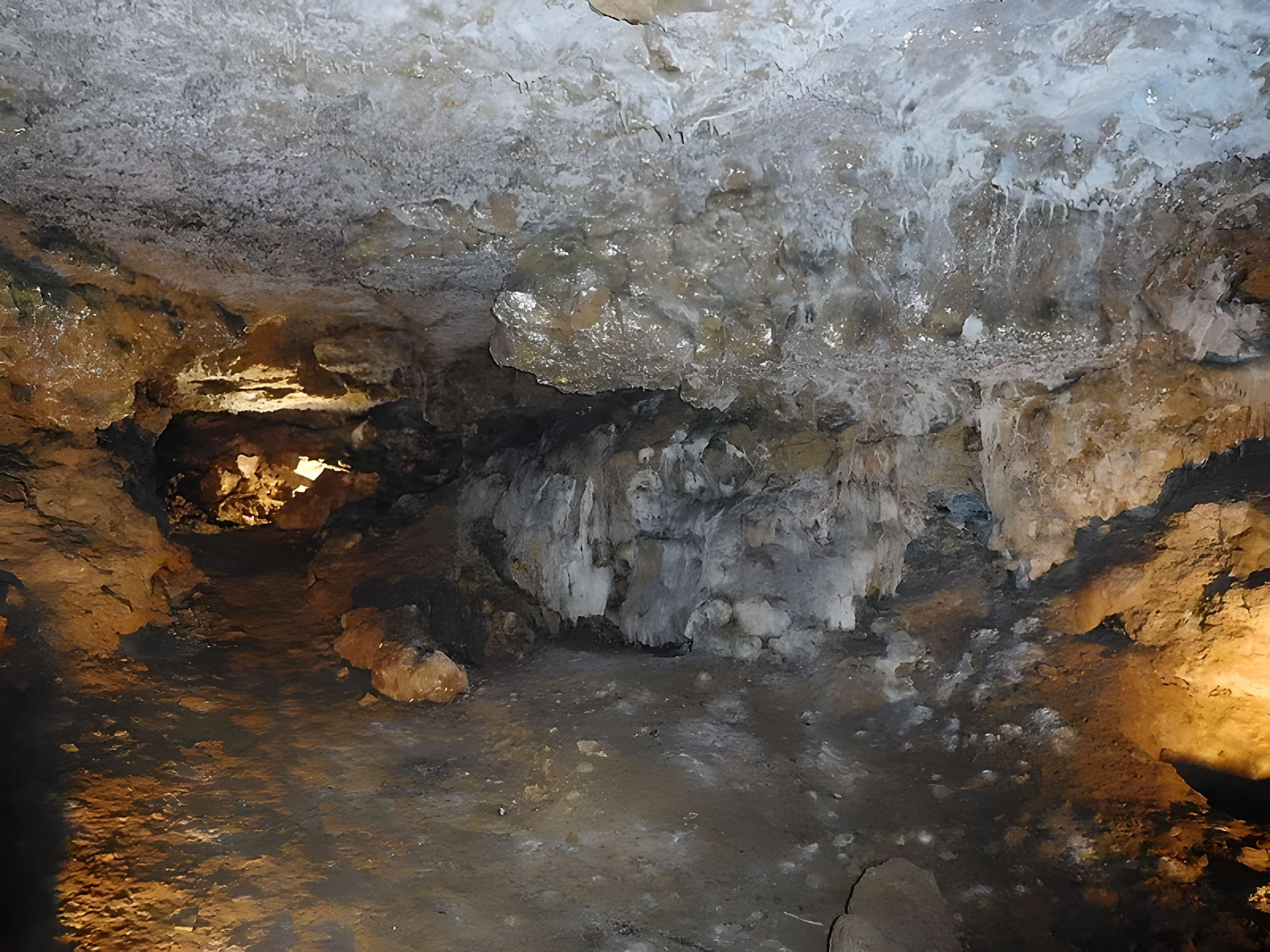 Château de Montréal à Issac