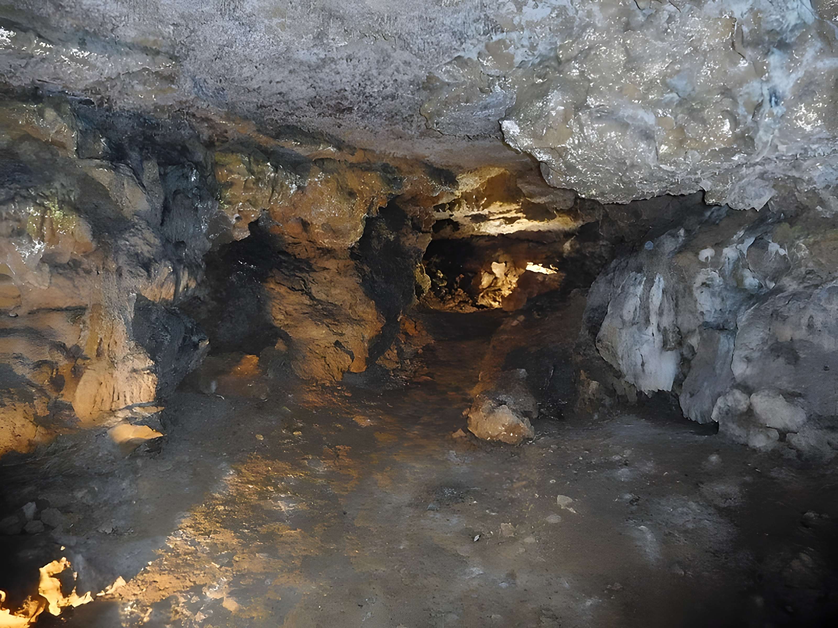 Château de Montréal à Issac