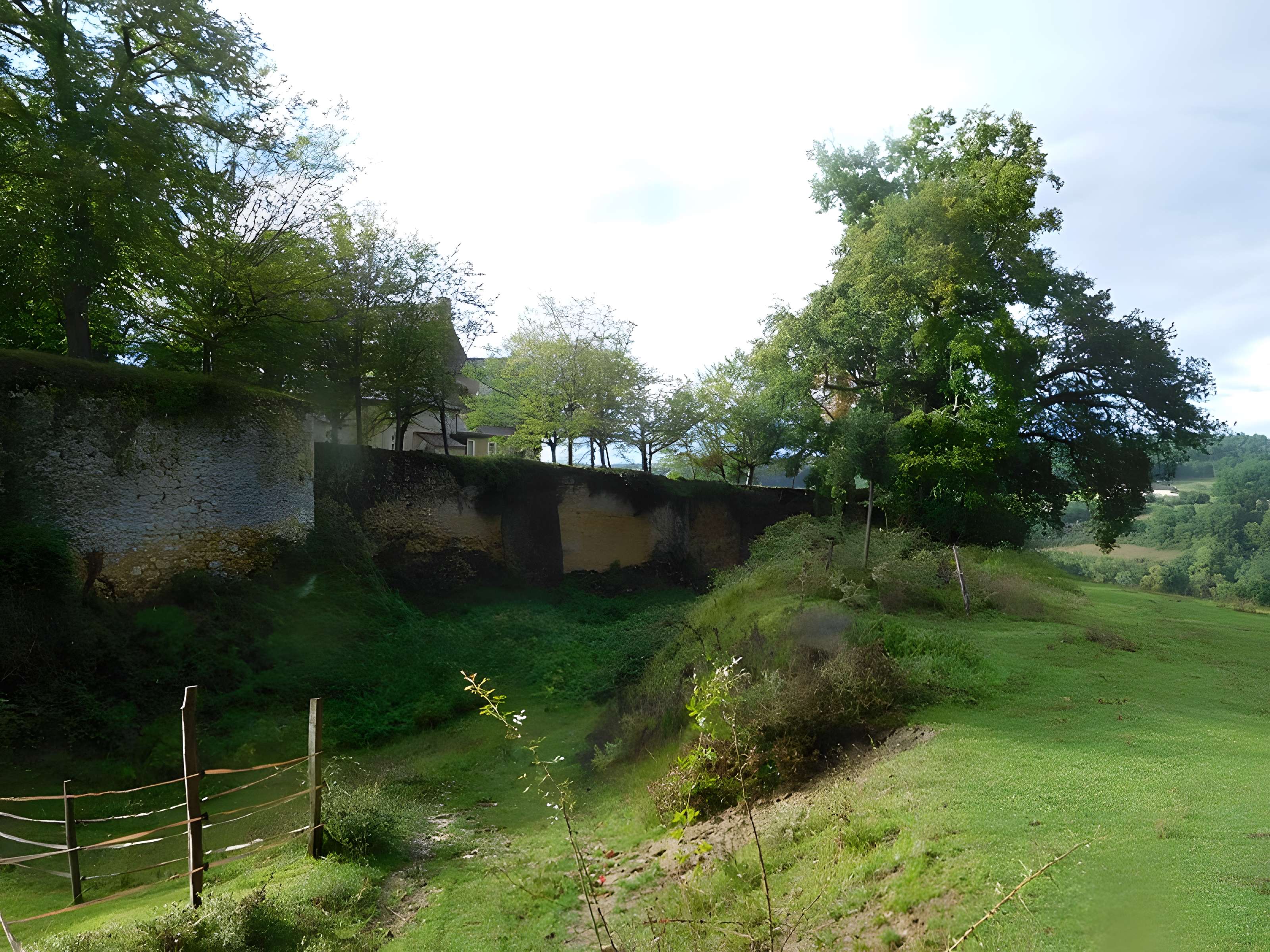 Château de Montréal à Issac