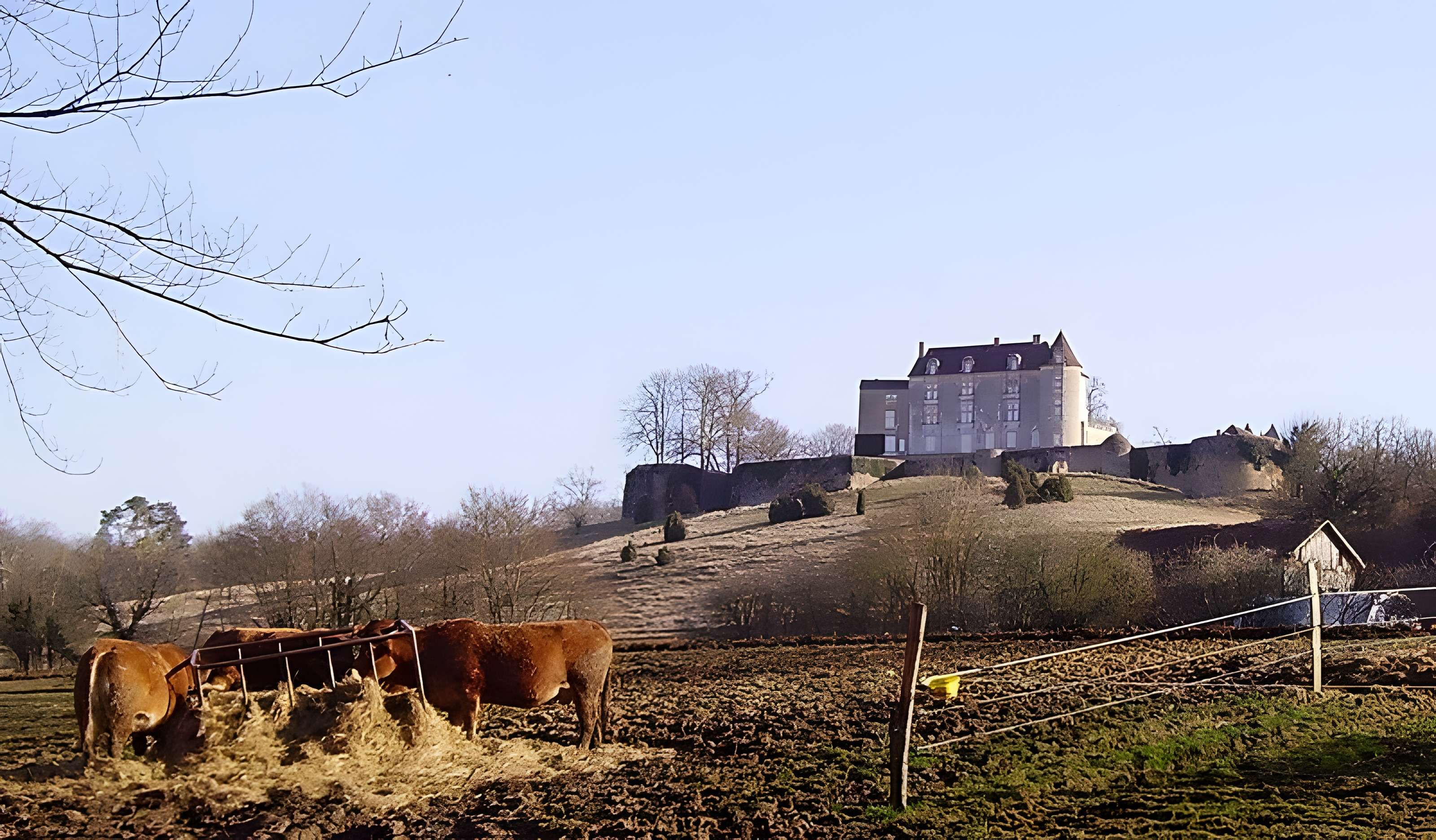 Château de Montréal à Issac