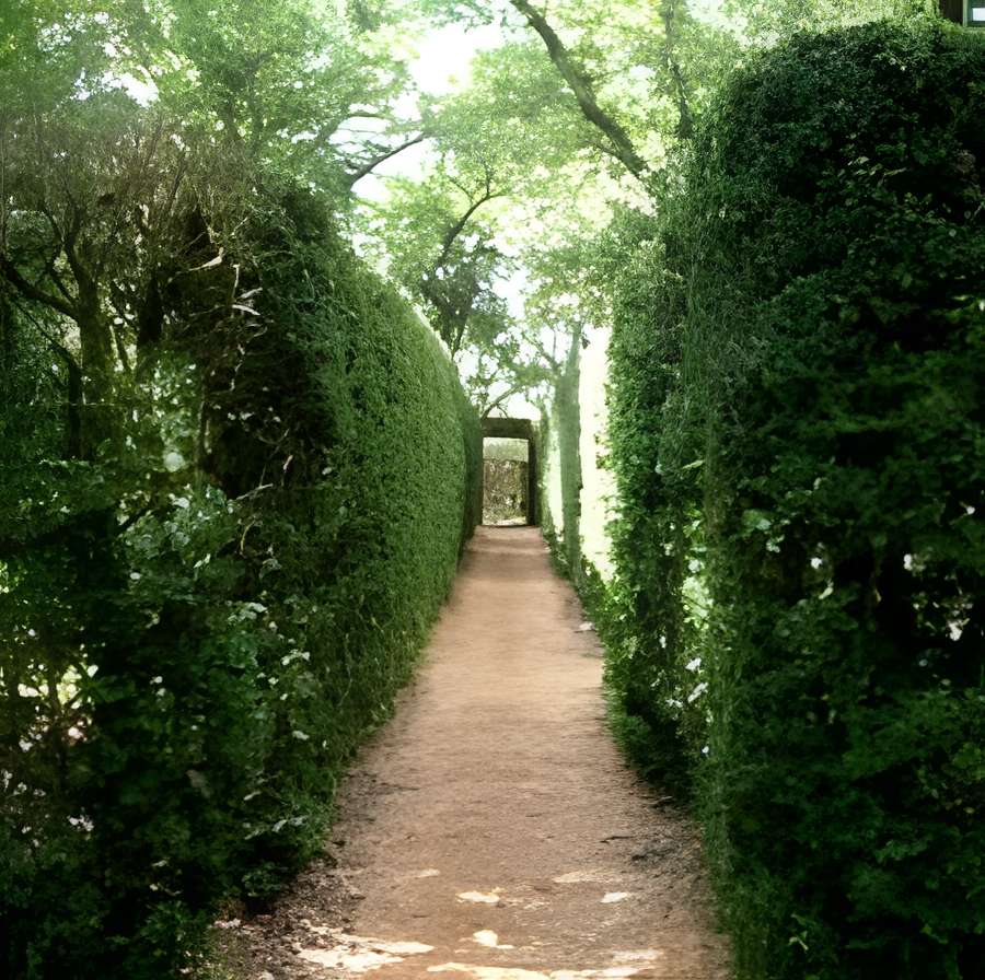 Labyrinthe de Merville 