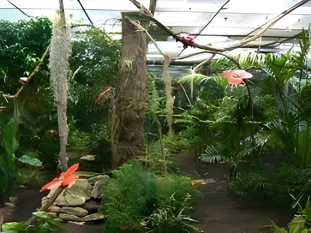 Micropolis à Saint-Léons 