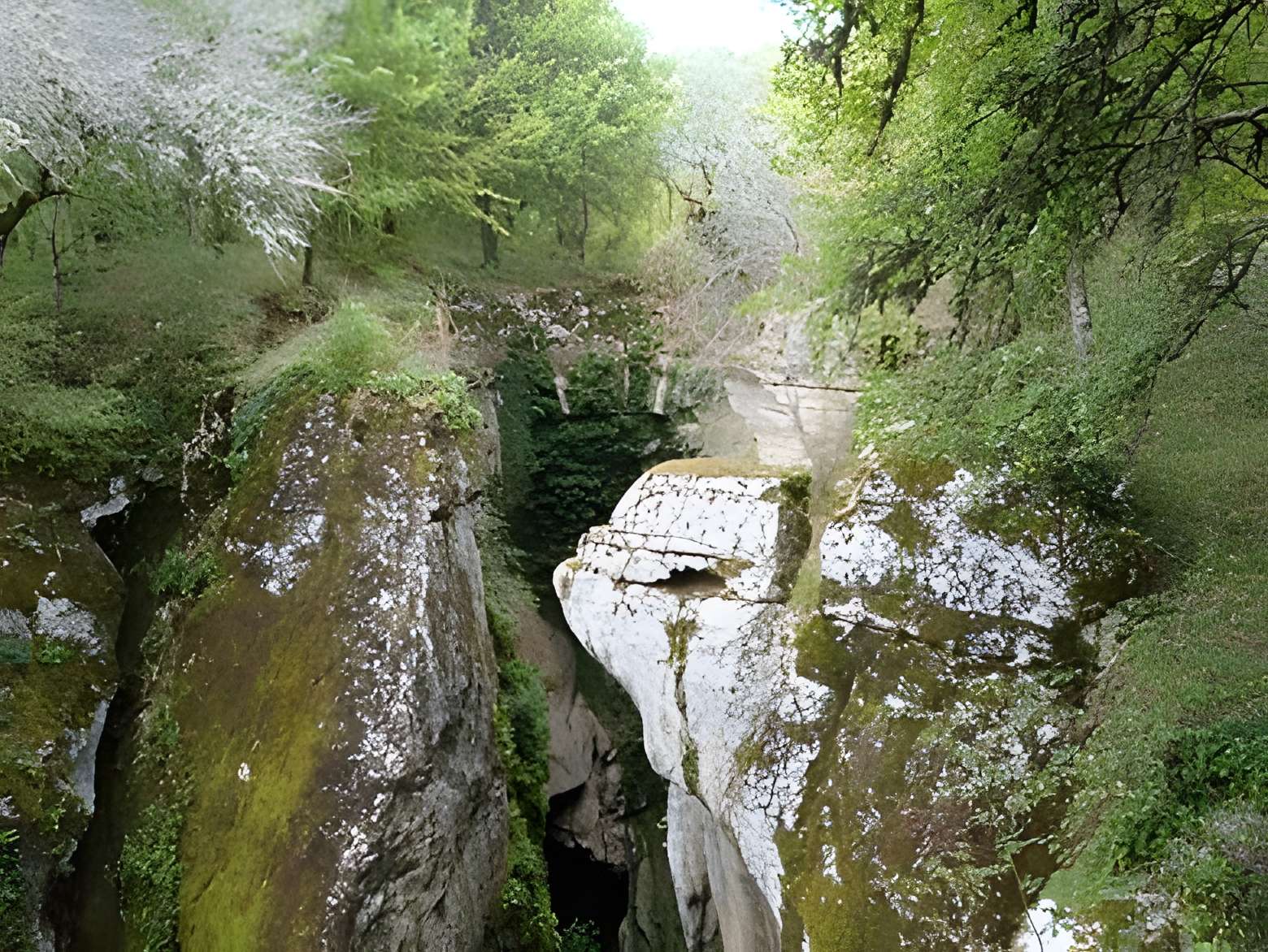 Phosphatières du cloup d'Aural 