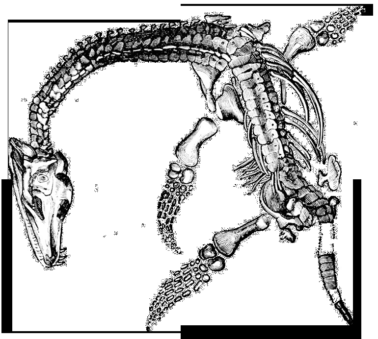 Visite des Phosphatières du cloup d'Aural