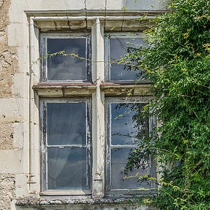 Photo de Château de Montrésor
