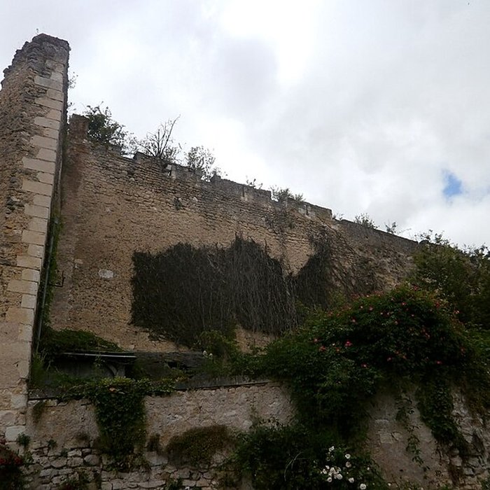 Photo de Château de Montrésor