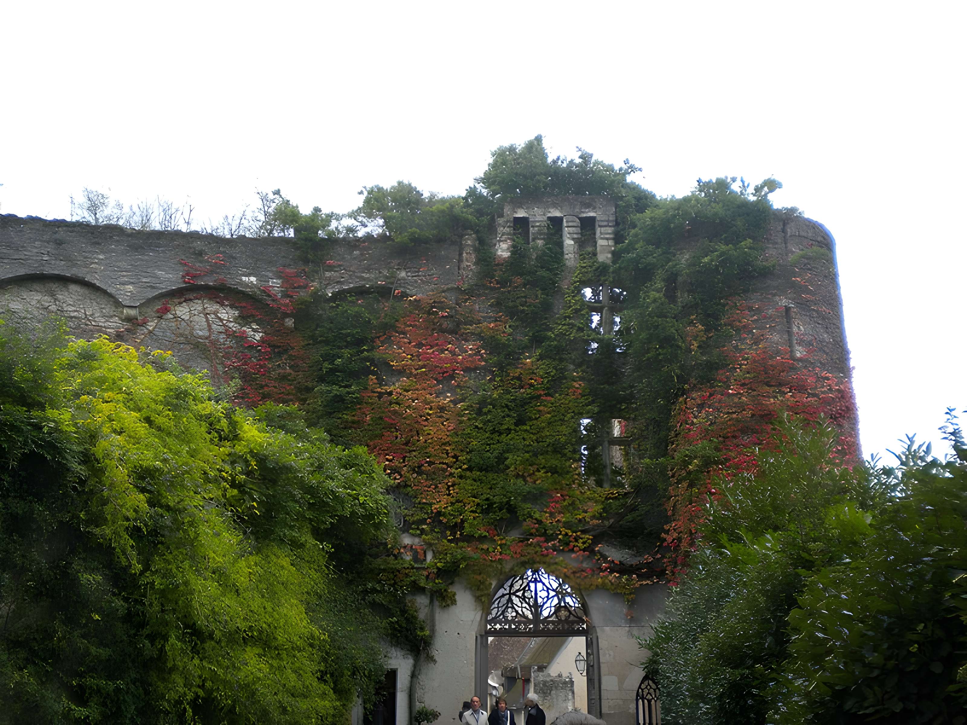 Château de Montrésor