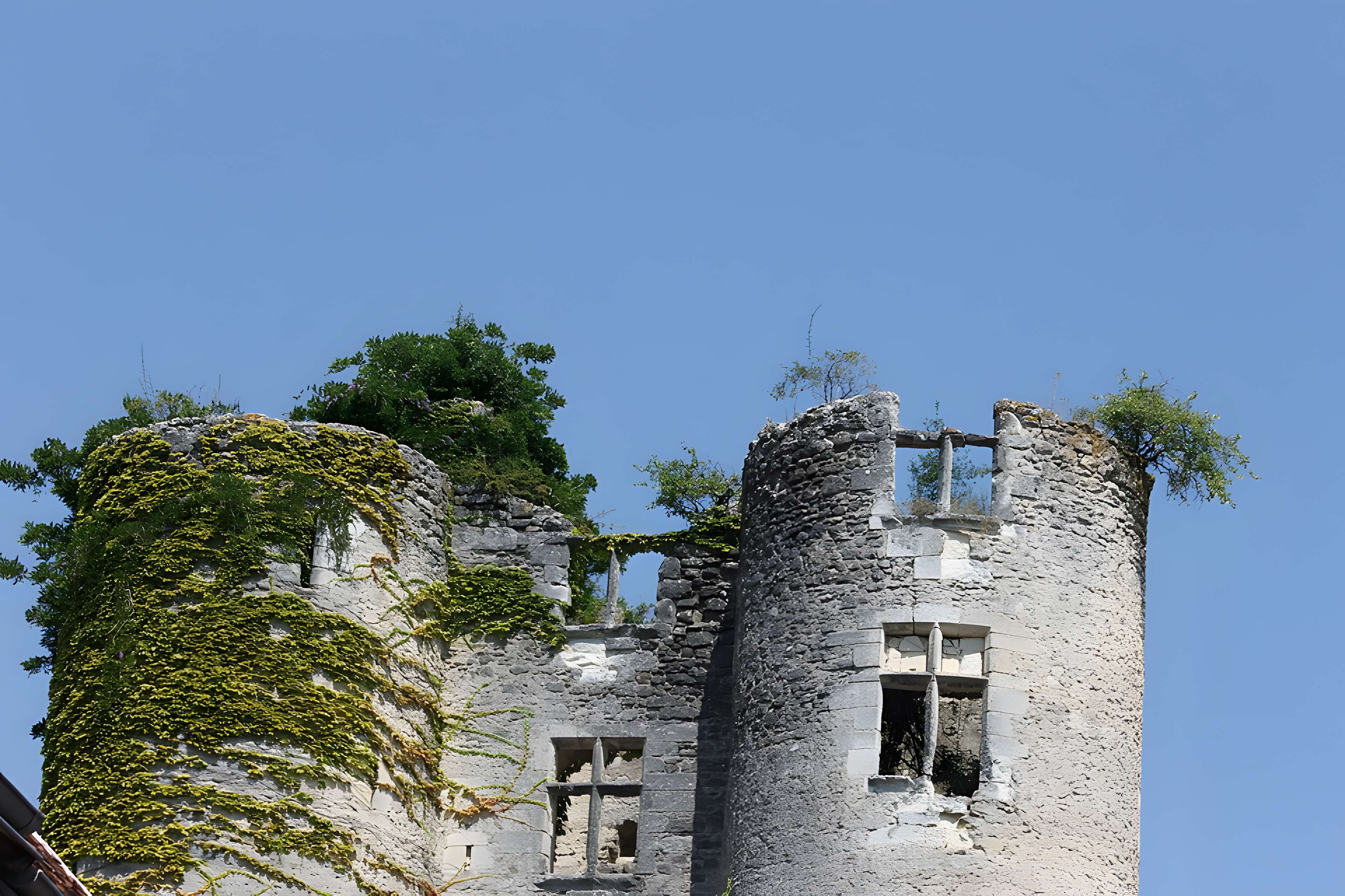 Château de Montrésor