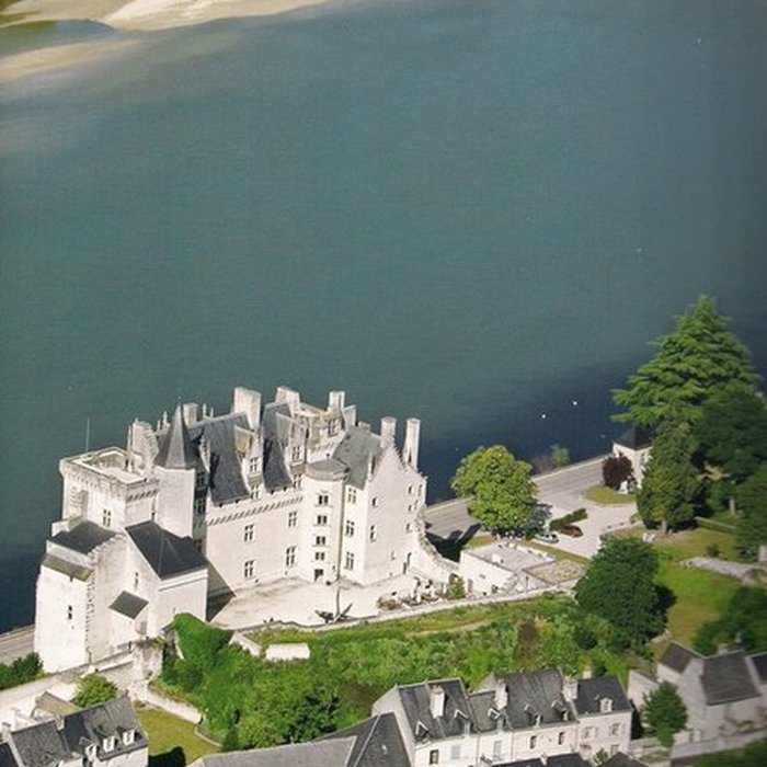Photo de Château de Montsoreau