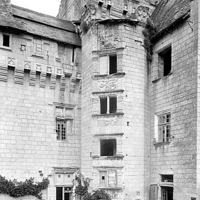 Photo de Château de Montsoreau