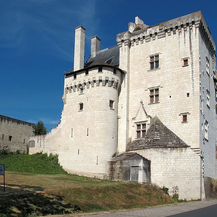 Photo de Château de Montsoreau