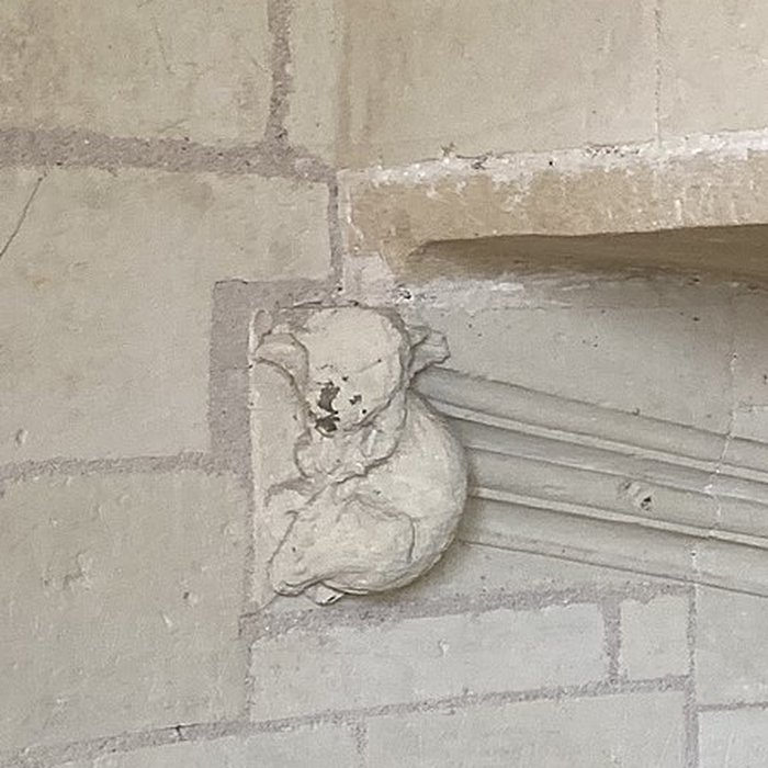 Photo de Château de Montsoreau