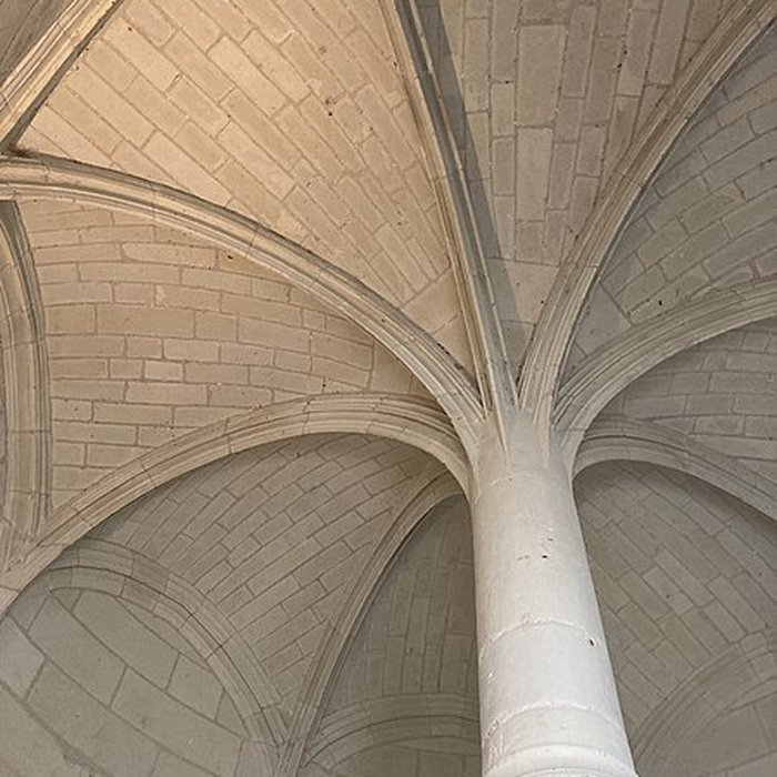 Photo de Château de Montsoreau