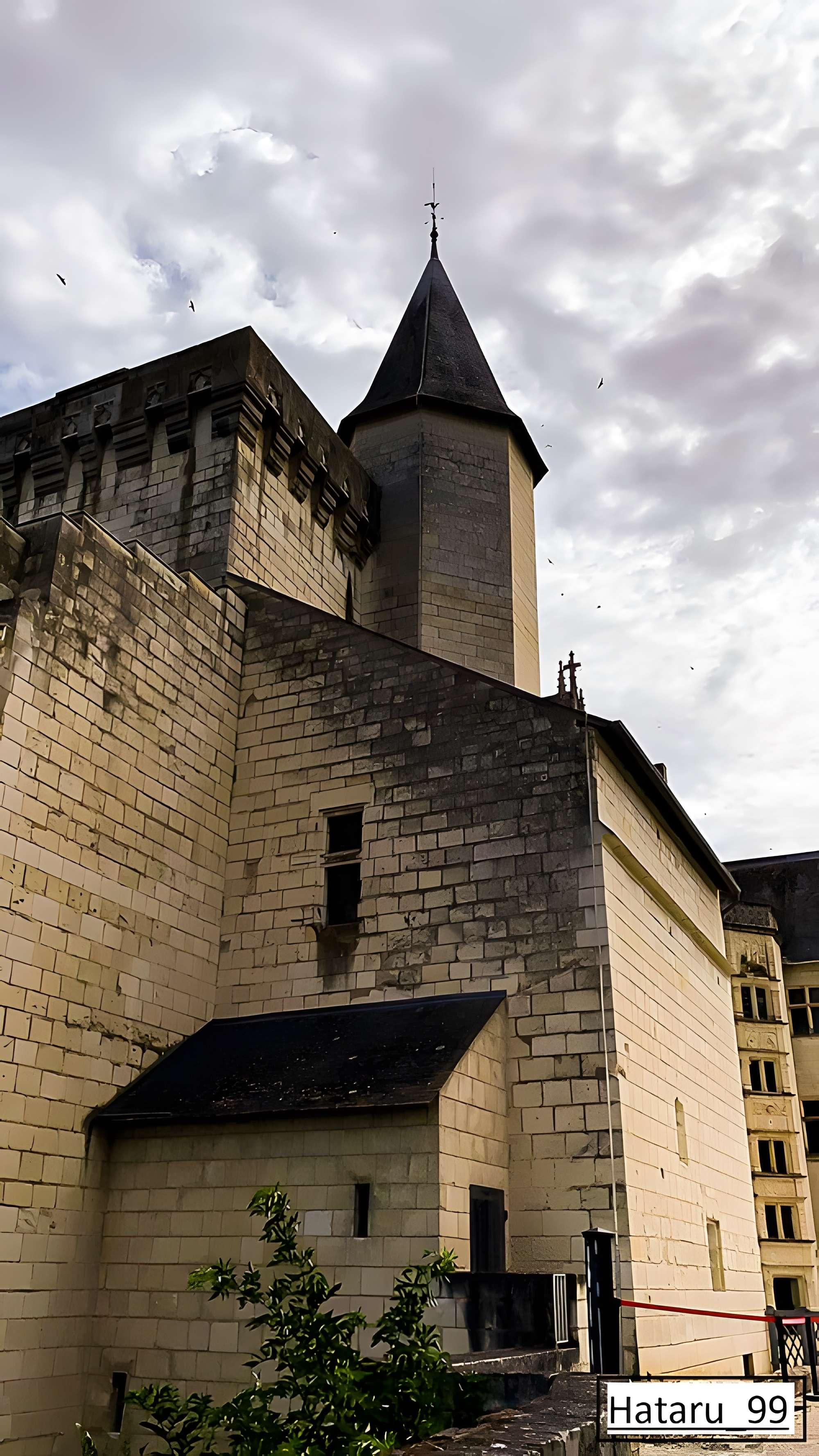 Château de Montsoreau
