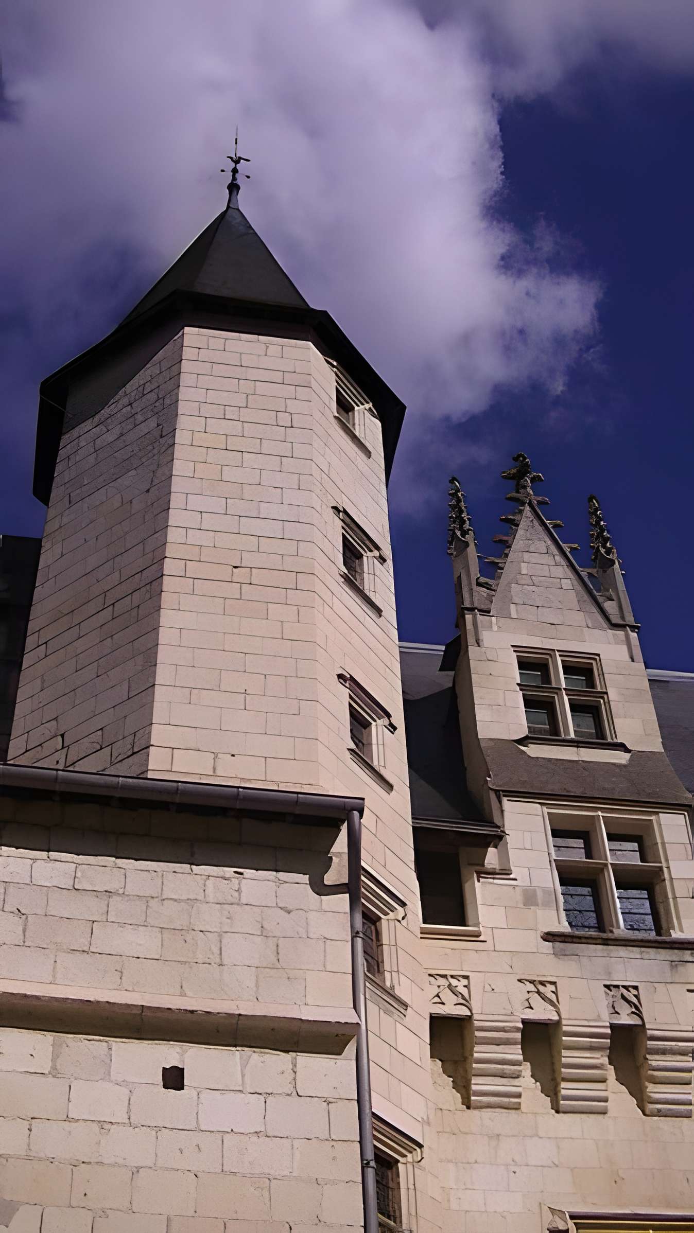 Château de Montsoreau