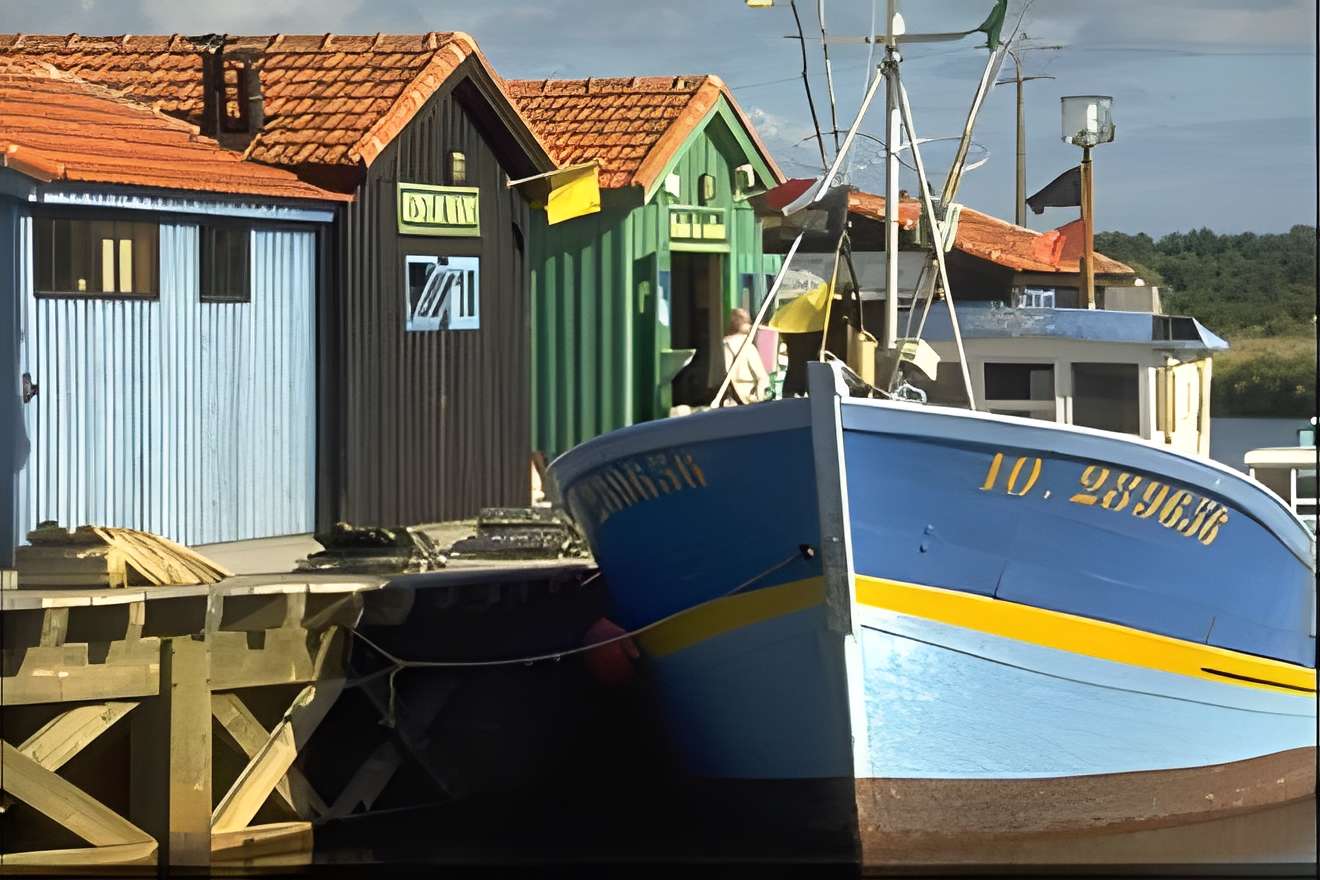 Pôle-nature du Port des salines au Grand-Village-Plage 