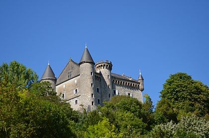 Photo de Château de Montveran