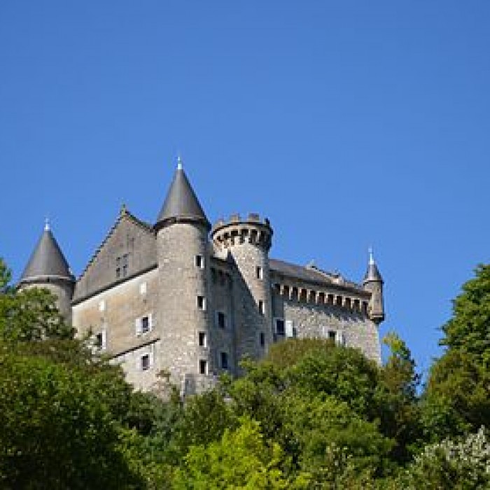 Photo de Château de Montveran