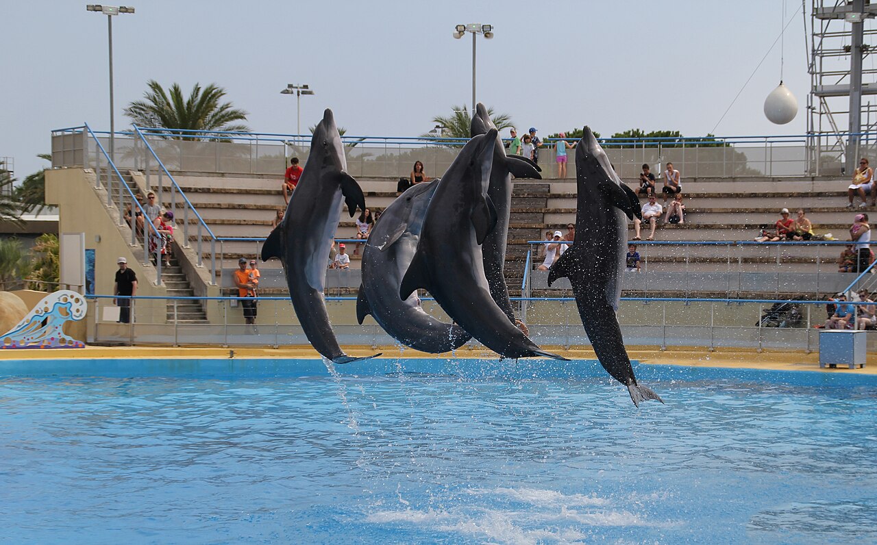 Marineland d'Antibes