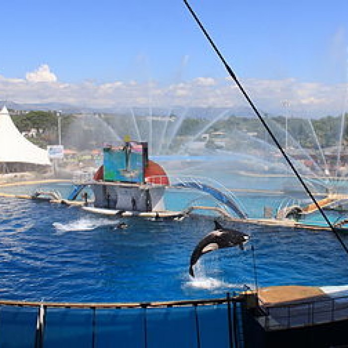 Photo de Marineland dAntibes