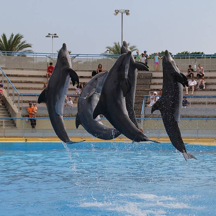 Photo de Marineland dAntibes