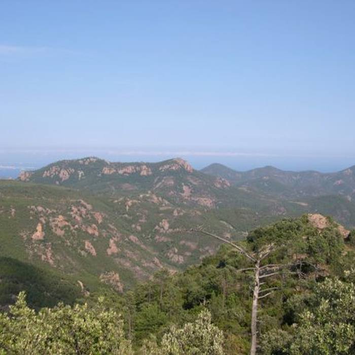 Photo de Massif de lEsterel