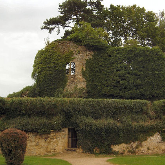 Photo de Château de Moulins-Engilbert