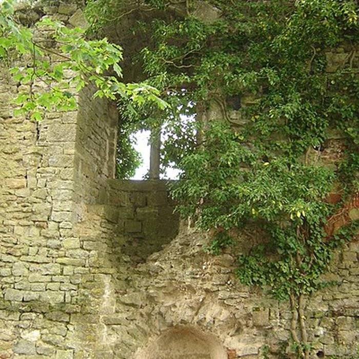 Photo de Château de Moulins-Engilbert