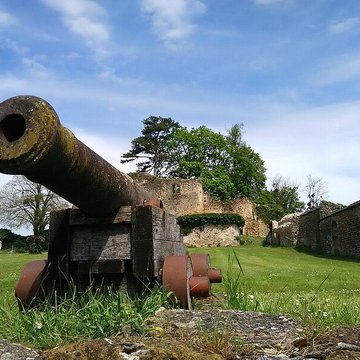 Château de Moulins-Engilbert