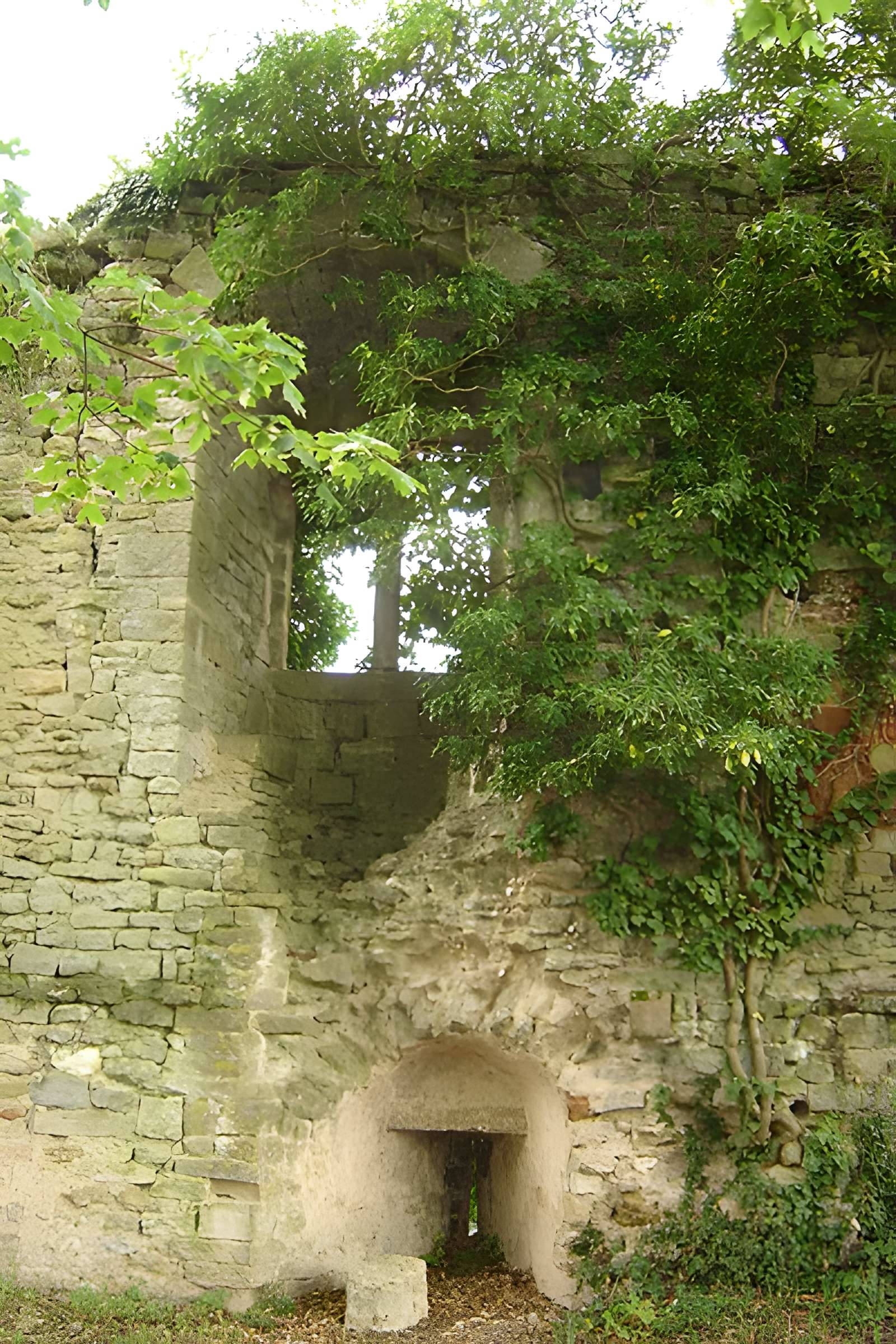 Château de Moulins-Engilbert