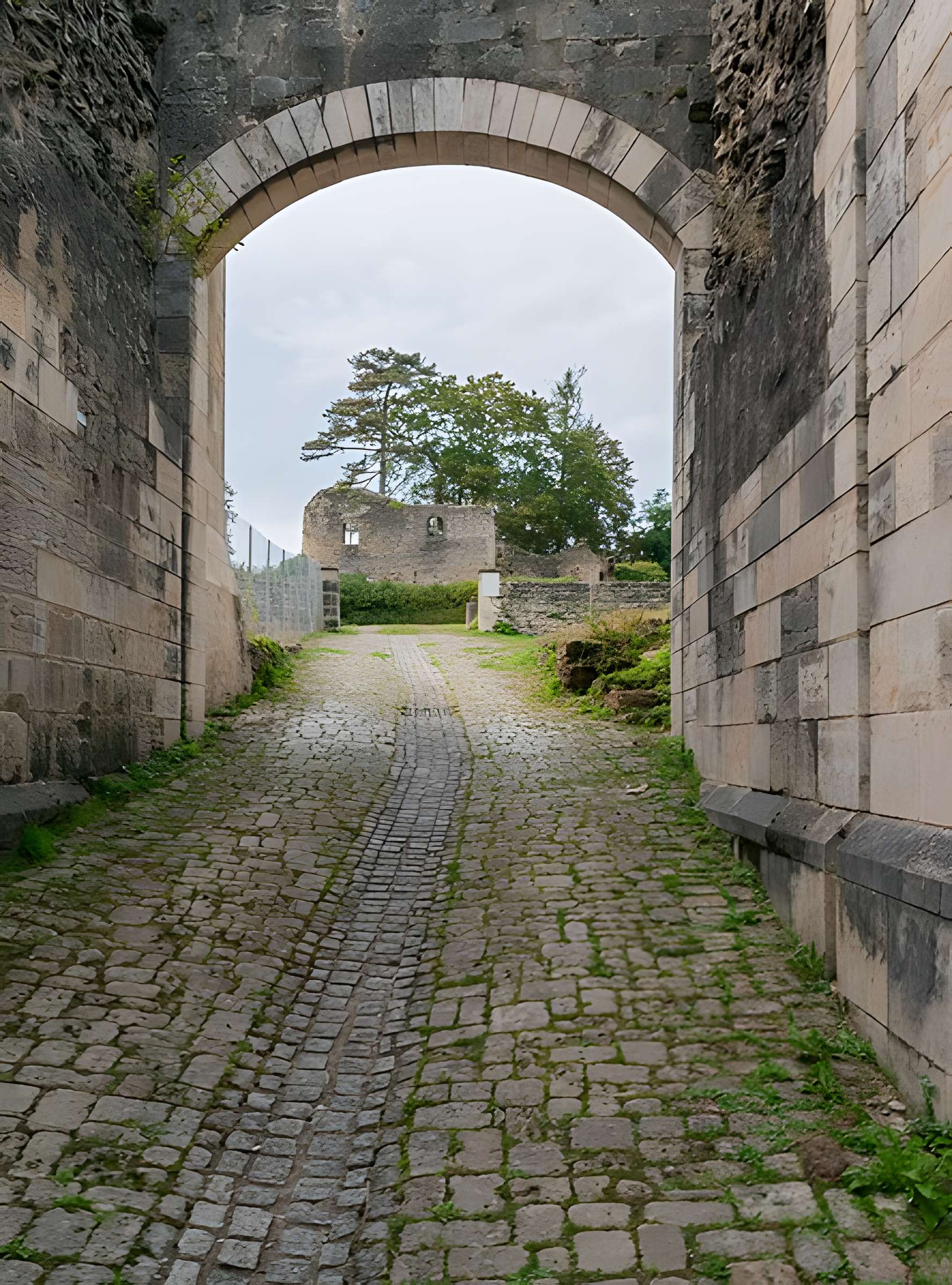Château de Moulins-Engilbert
