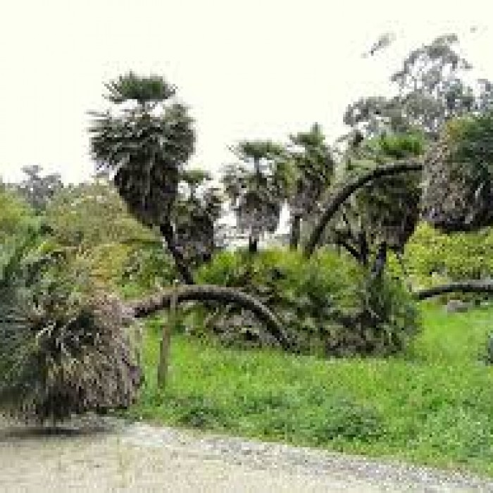 Photo de Villa Thuret à Antibes