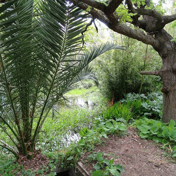 Photo de Villa Thuret à Antibes